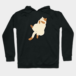 Cute sleeping cat sticker Hoodie